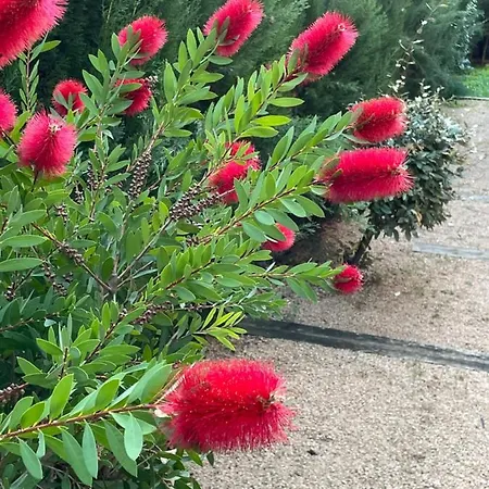 Marta - Casa vacanze *